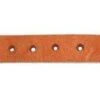 Professionals Choice Mens Sagebrush Spur Straps HL