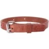Double Diamond Halters Leather Buck Strap / Night Latch