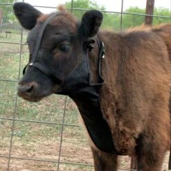 Cactus Gear Ropes Double S Calf Collar