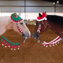 Tough 1 Santa 5 Piece Set -Cowboy Store V8A3722