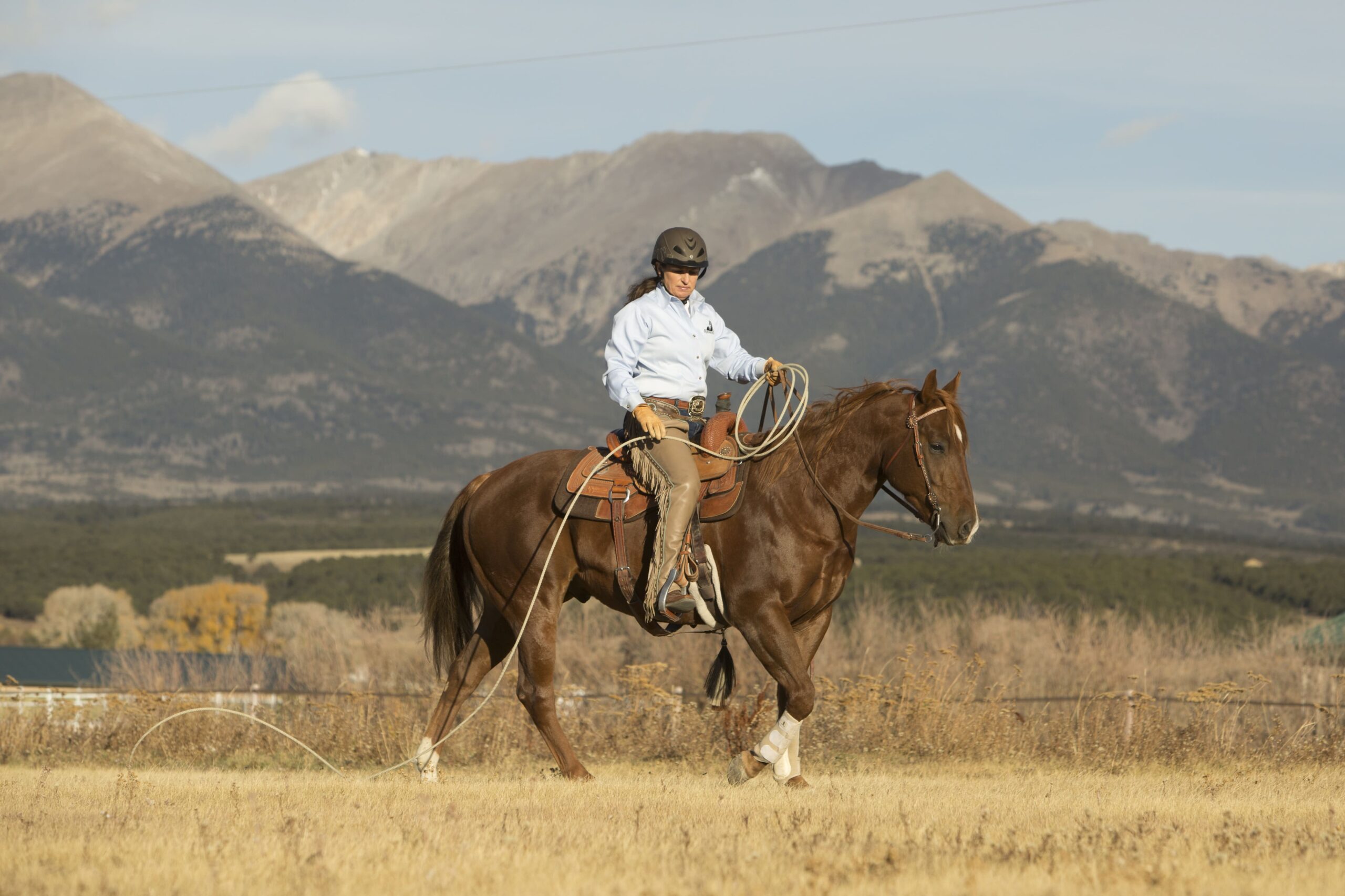 Cowboy Store -Cowboy Store FI6A0568 scaled